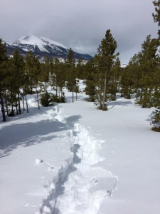 Breaking crusty trail at the Frisco Nordic Center.
