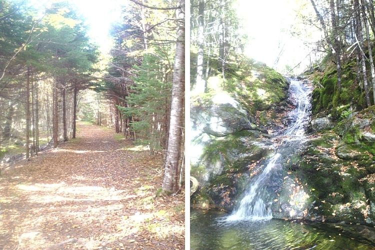 side by side L: start of trail with trees and sun R: small waterfall on trail