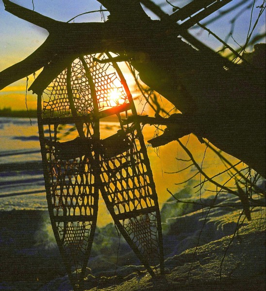 wooden snowshoes leaning against tree with sunset and snow in background