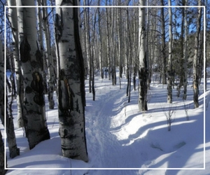 trails at Grand Lake Nordic Center, Grand Lake, CO