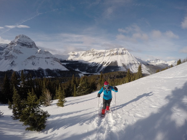 Some trips are just easier on snowshoes