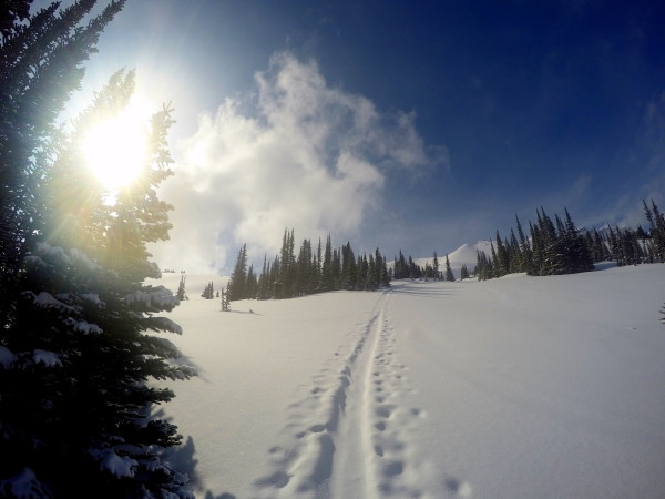 Hiking up the ski trail behind the Hilda Hostel