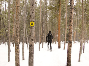 Snowshoeing in the woods at Galena Lodge. 