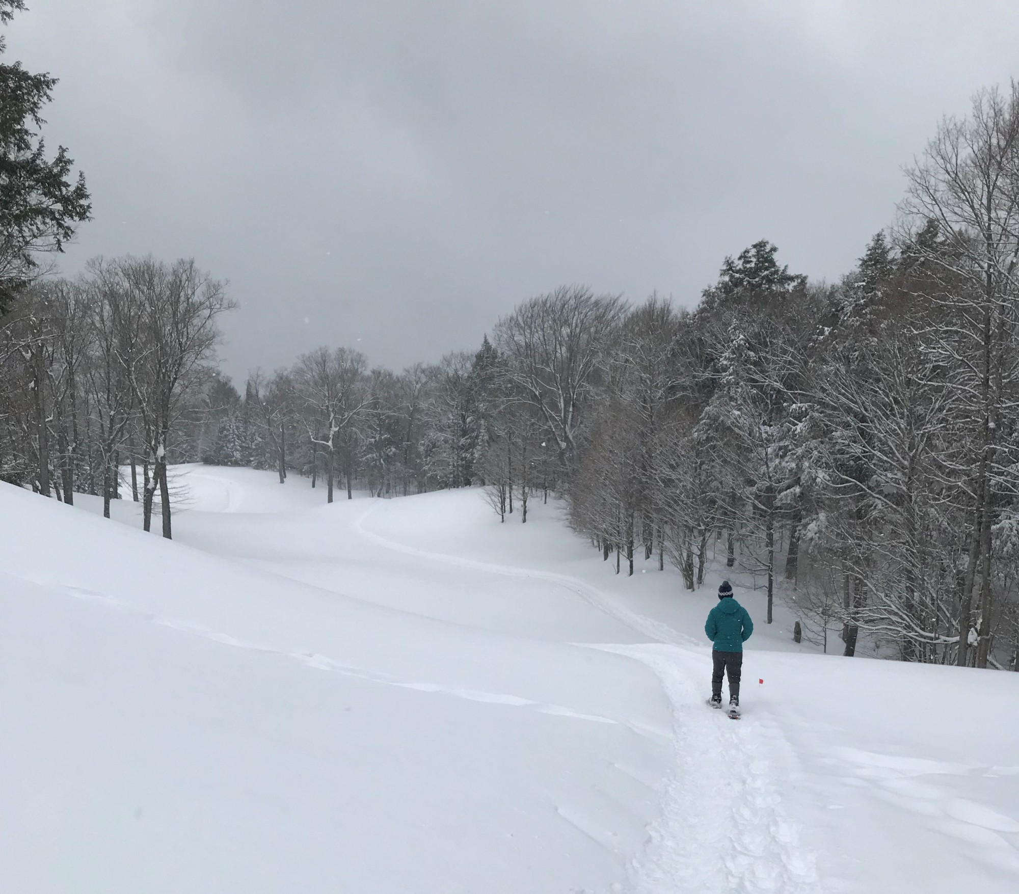 man snowshoeing on golf course with hills under gray sky