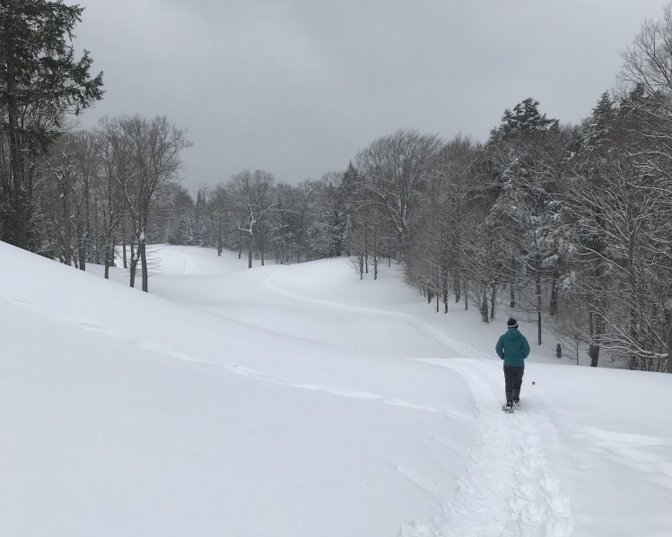 man in distance snowshoeing on golf course