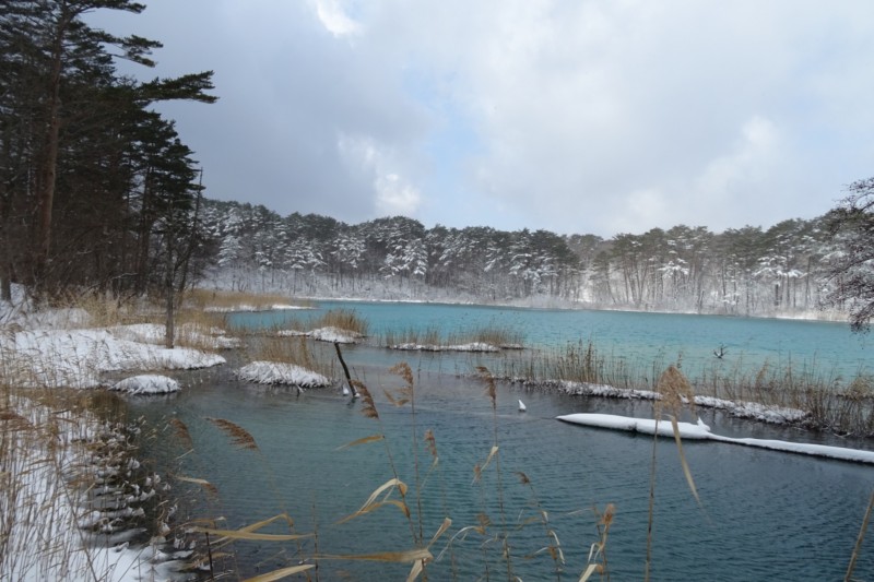 Urabandai Five Colored Ponds Trail: Bishamon Pond with beautiful gradients of blue