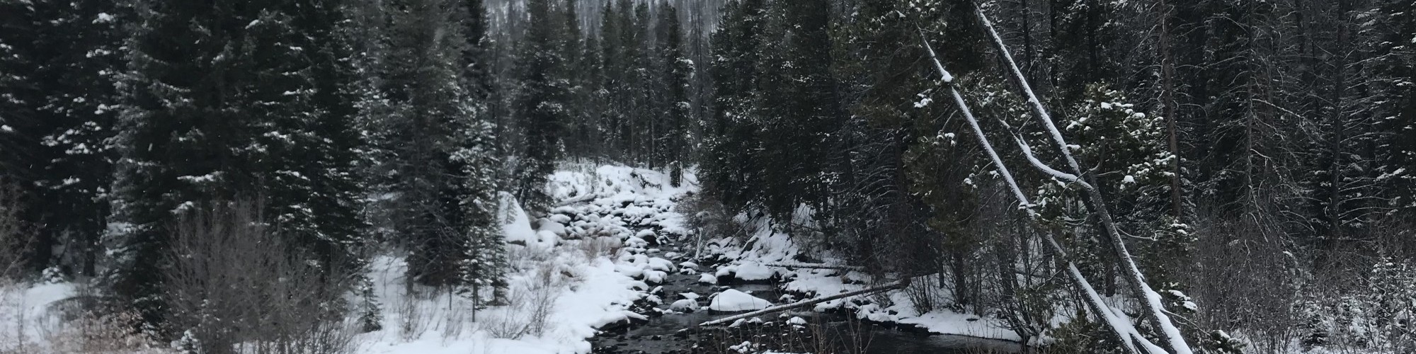 river, snow coming, Monarch Lake