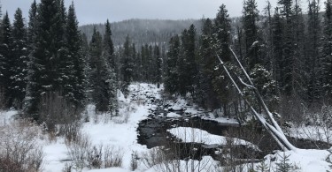 river, snow coming, Monarch Lake