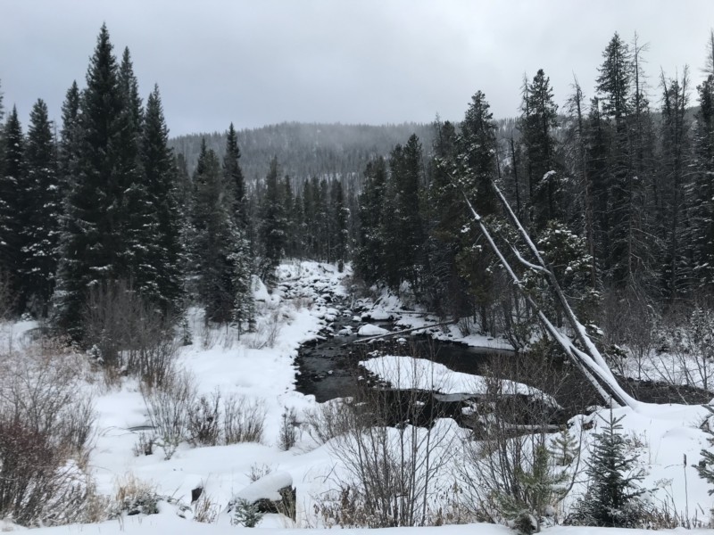 river, snow coming, Monarch Lake