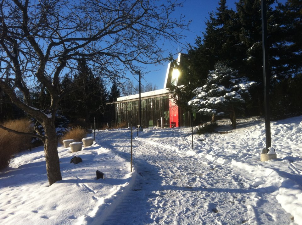 Humber Arboretum in Toronto- Snowshoeing Near Home