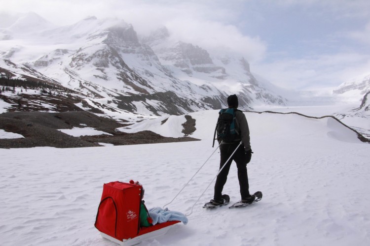 adult on snowshoes pulling child on sled in winter hike to Athabasca Glacier