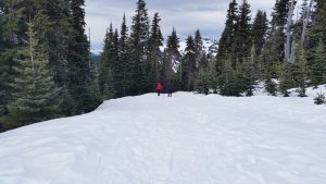 Hurricane Ridge, Washington