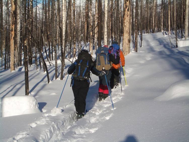 several people trekking through snow with backpacks