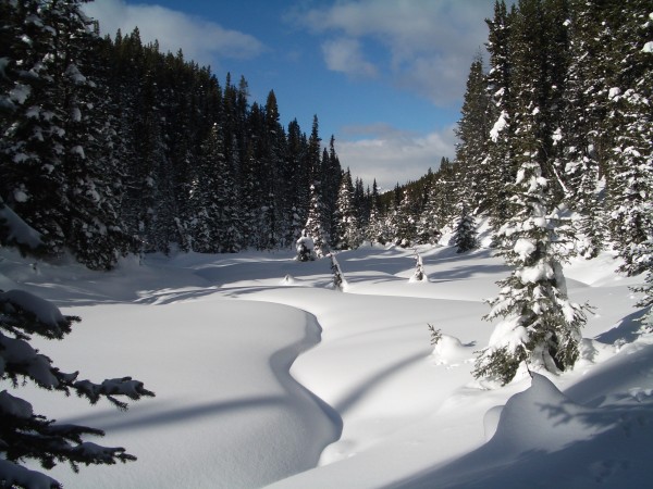 Scenery in Peter Lougheed Provincial Park on the Elk Pass Trail