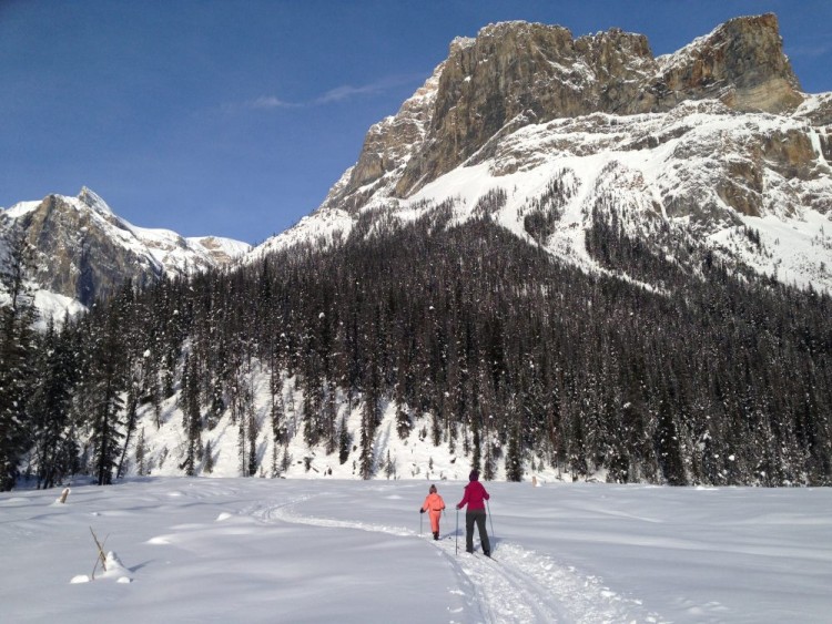 two people cross country skiing Alluvial Fam Trail at <yoastmark class=