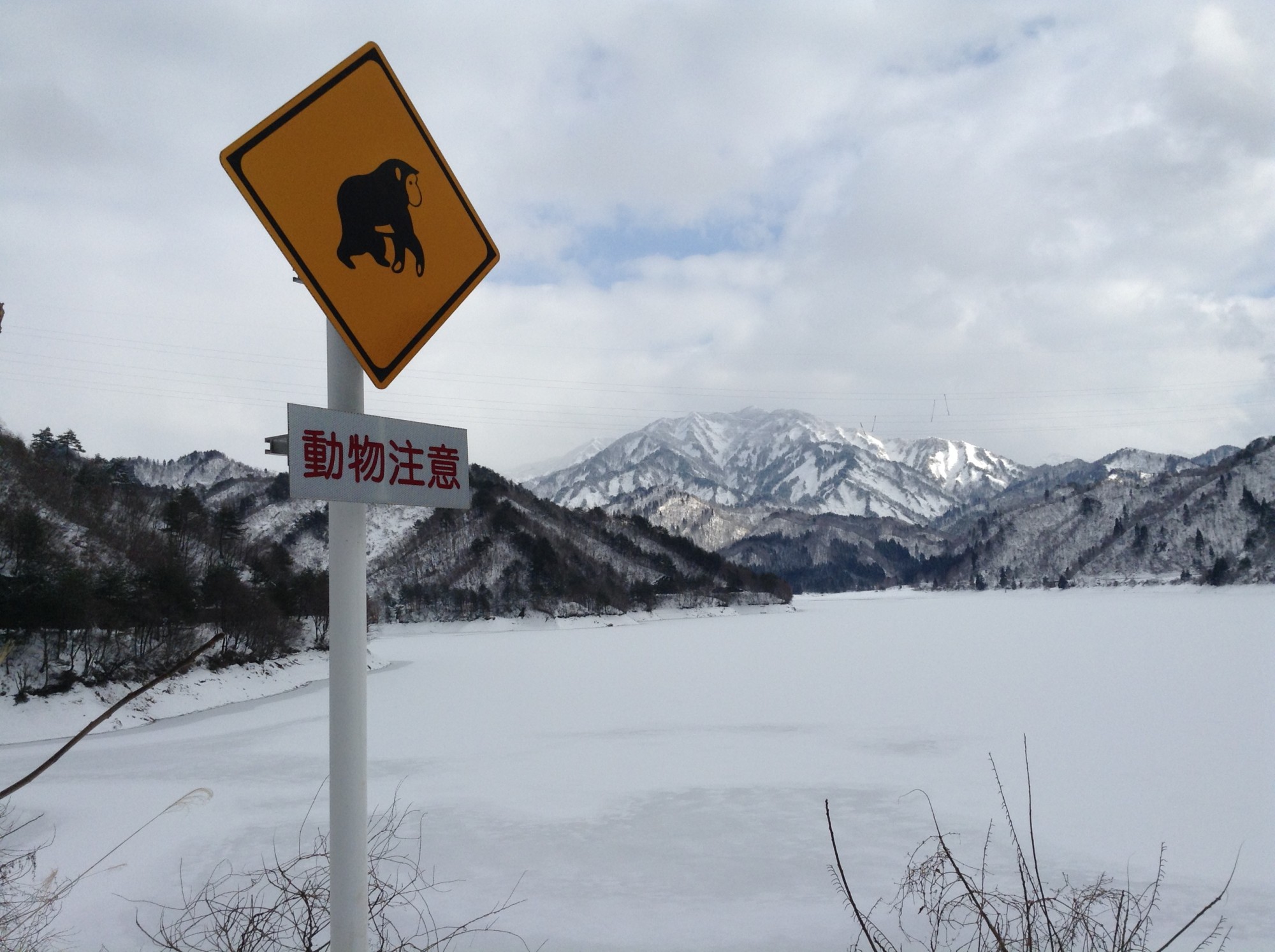 monkey sign in snowy landscape in Japan