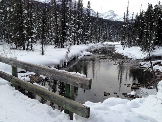 Trails at Lake Louise
