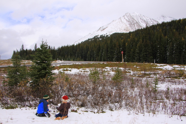 Highwood Meadows - in September believe it or not.