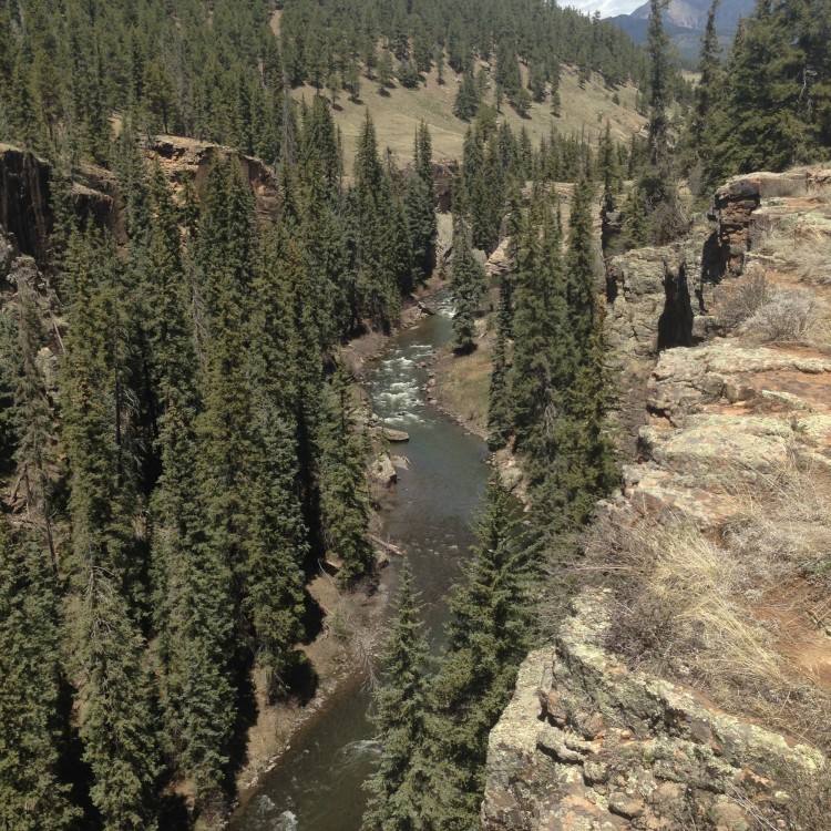 river down below surrounded by trees near Pagosa, CO