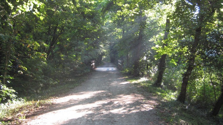 trail surrounded by forests (MKT Trail in Columbia MO)