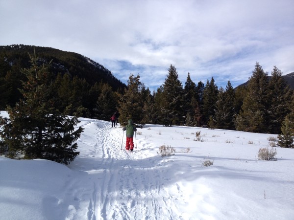 The Silver Run Ski Trails are fun for an easy snowshoe. 