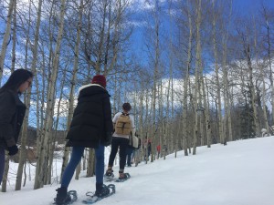 Snowshoe hike to the historic Rowley Homestead.