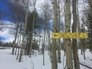 Well-marked snowshoe trails lead the way.