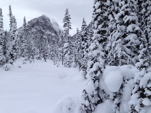 Paradise Valley, Lake Louise