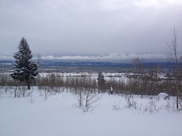 Deep snow and expansive views epitomize Gneiss Creek in Yellowstone National Park.