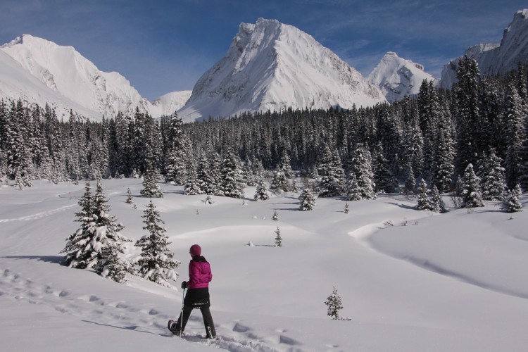 woman walking with snowshoes and poles with trees and Rocky Mountains in background