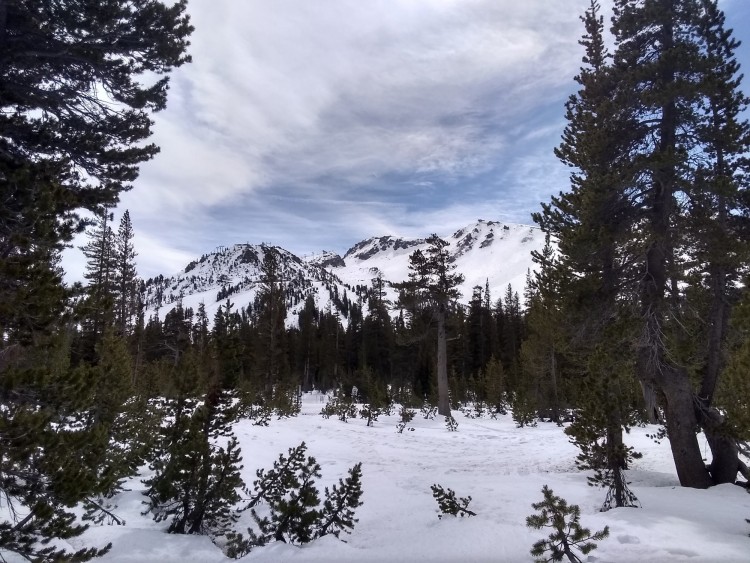 view near Mammoth Mountain, CA