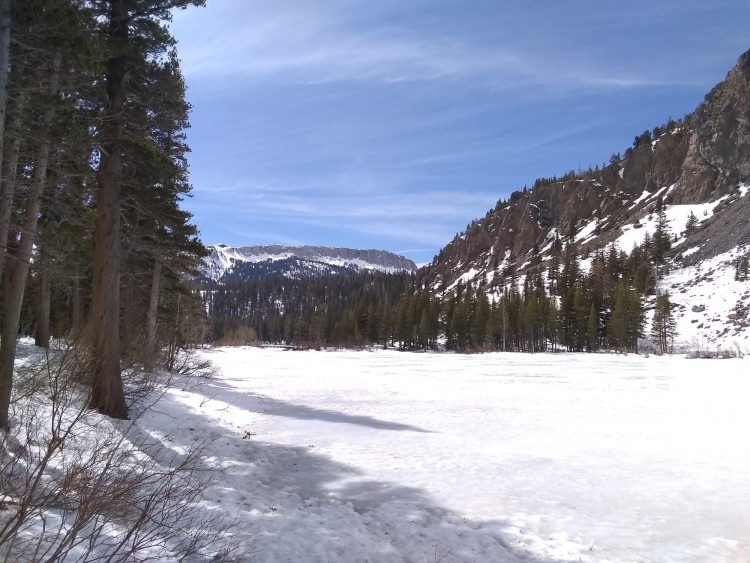 meadow near Mammoth Mountain