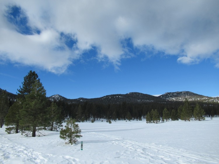 snowy trail with mountains, blue sky, and tree in background