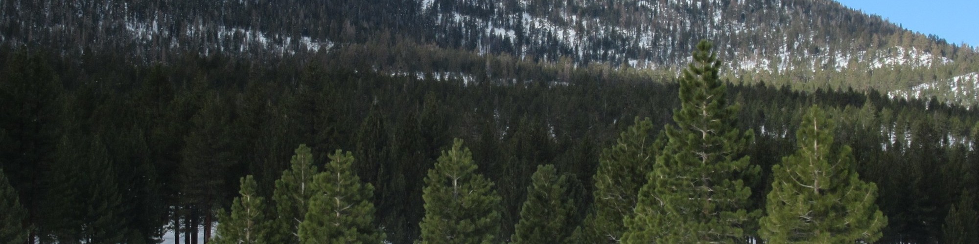 snowy trail with dome in background