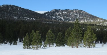 snowy trail with dome in background