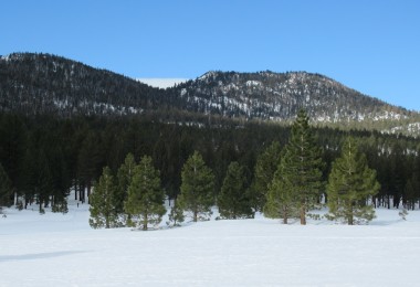 snowy trail with dome in background