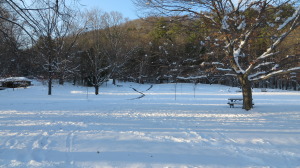 Faulkner Park, Woodstock, VT