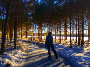 Fancy a skate through an enchanted forest? Jenn Smith Nelson 