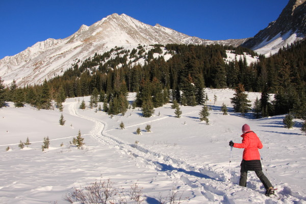 Snowshoeing at Highwood Pass, Kananaskis