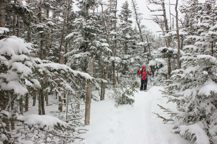 man snowshoeing between snowy trees on mountain
