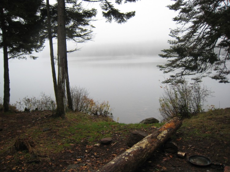 Water with a log and tree in foreground and fog in background.