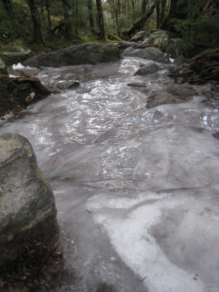 icy trail approaching trees