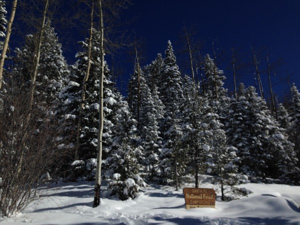 Santa Fe National Forest, home of the Santa Fe Snowshoe Classic