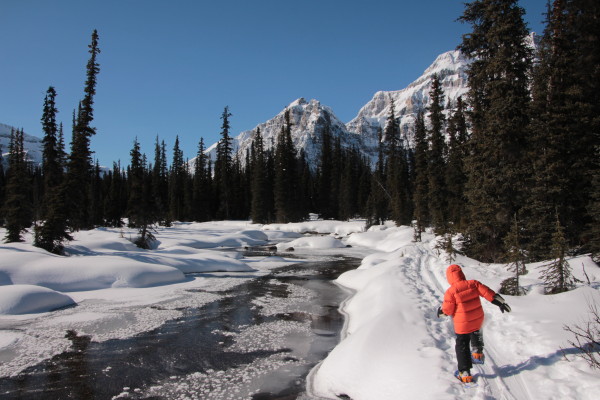 Hiking along the creek to Shadow Lake