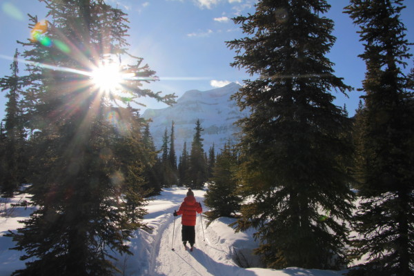 Afternoon skiing around Shadow Lake Lodge