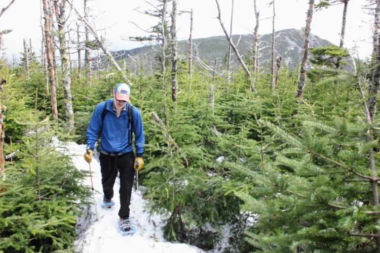 man snowshoeing on snowy mountain path surrounded by trees