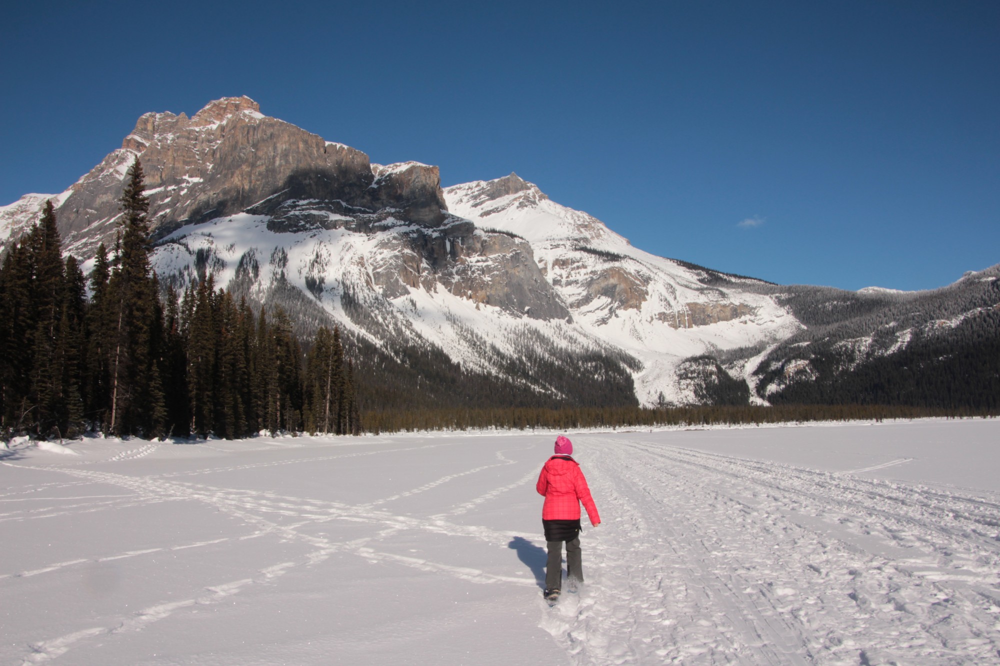 Snowshoeing Paradise at Canada’s Emerald Lake Lodge • Snowshoe Magazine