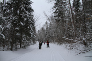 Cross country skiing in Mauricie National Park 