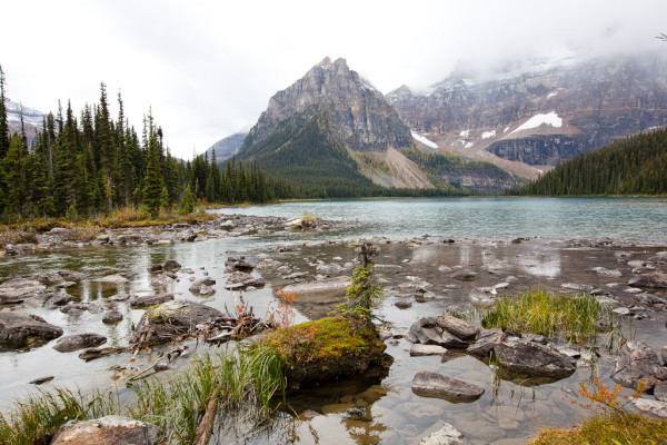 Shadow Lake