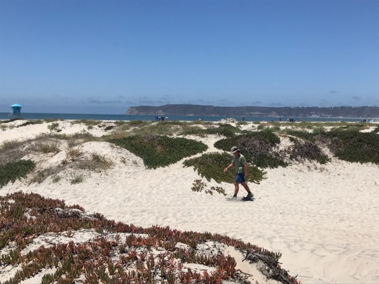 man in background using snowshoes on sand with ocean view in distance and dunes all around